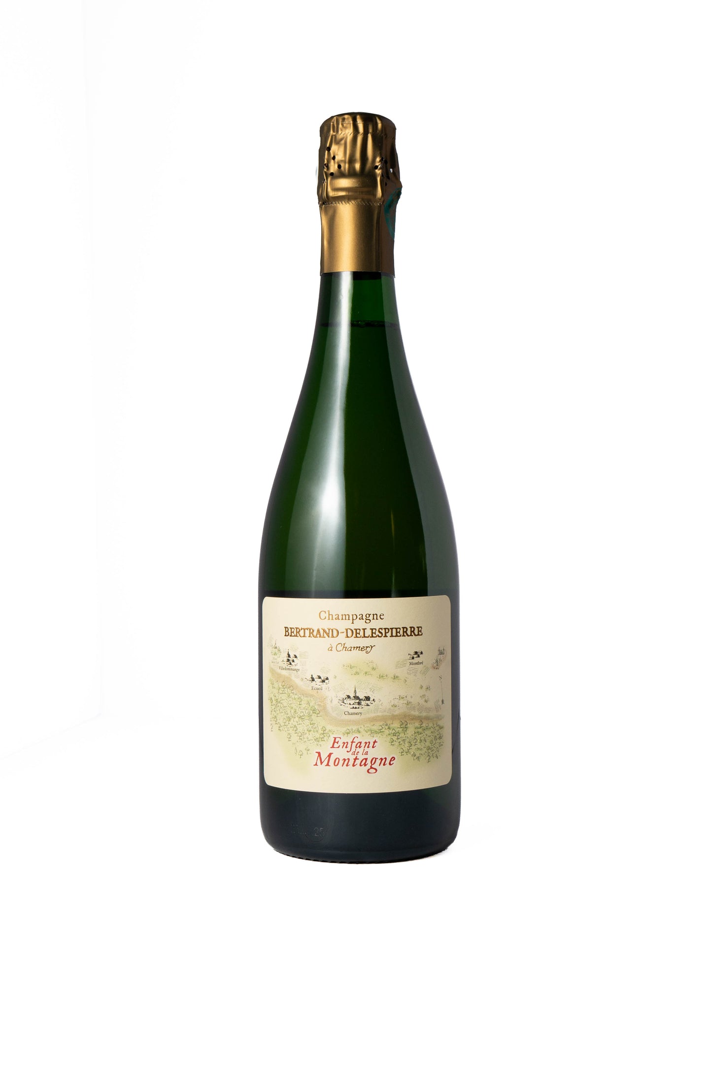 Bertrand Delespierre 'Enfant De La Montagne' Champagne