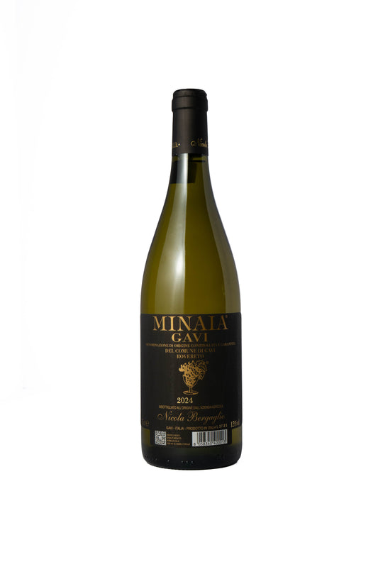 Nicola Bergaglio 'Minaia' Gavi 2024