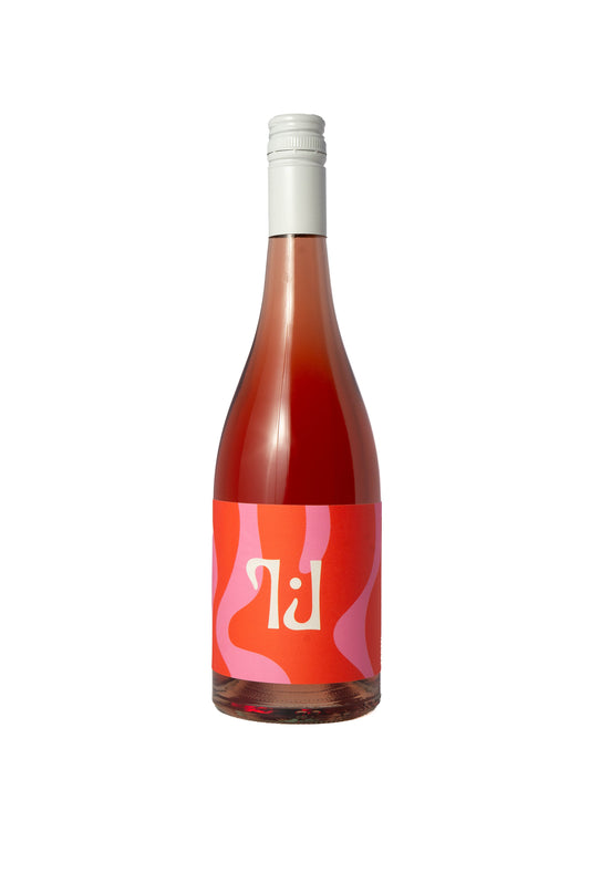 Tillie J 'Anna's Rose' Shiraz Rose 2025